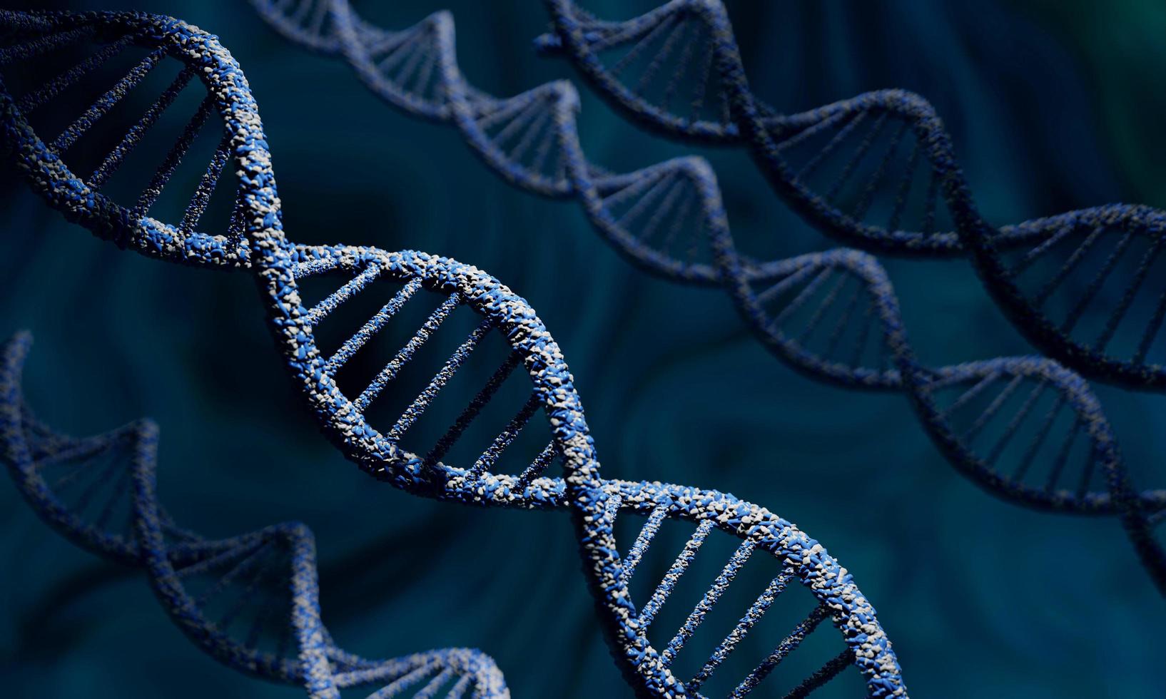 Cancer immunotherapy and advanced medical care in Japan